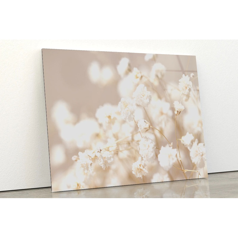 Dry Little White Flowers Acrylic Glass Print Tempered Glass Wall Art 100% Made in Australia Ready to Hang