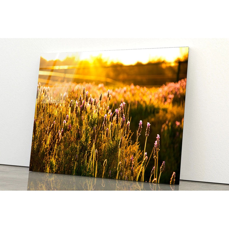Field of Flowers Acrylic Glass Print Tempered Glass Wall Art 100% Made in Australia Ready to Hang