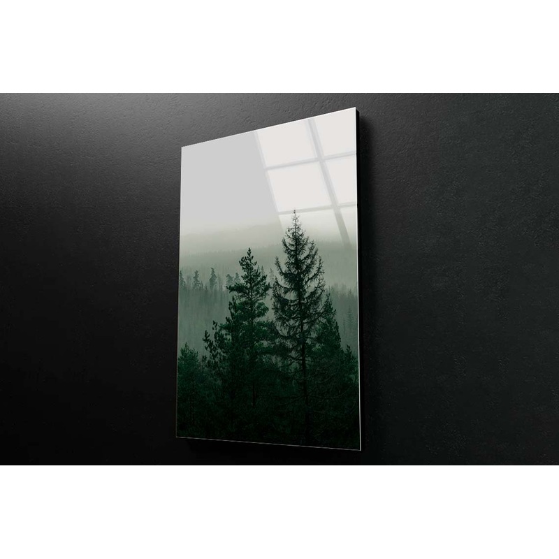 Foggy Magical Forrest Acrylic Glass Print Tempered Glass Wall Art 100% Made in Australia Ready to Hang