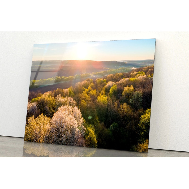 Fresh Green Trees Acrylic Glass Print Tempered Glass Wall Art 100% Made in Australia Ready to Hang