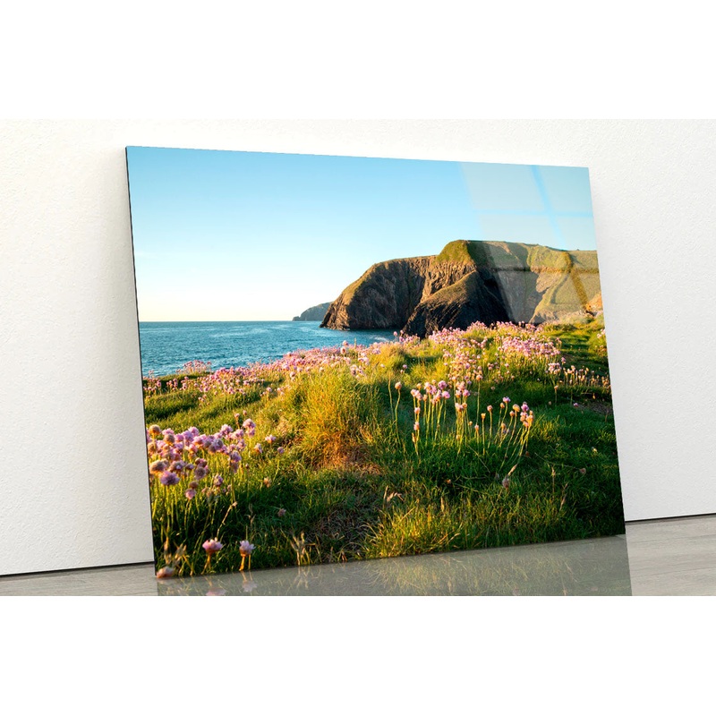 Pink Sea Thrift Acrylic Glass Print Tempered Glass Wall Art 100% Made in Australia Ready to Hang