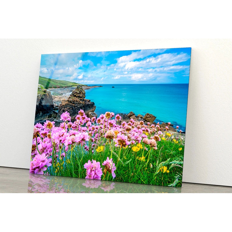 Pink Sea Thrift Flower Acrylic Glass Print Tempered Glass Wall Art 100% Made in Australia Ready to Hang
