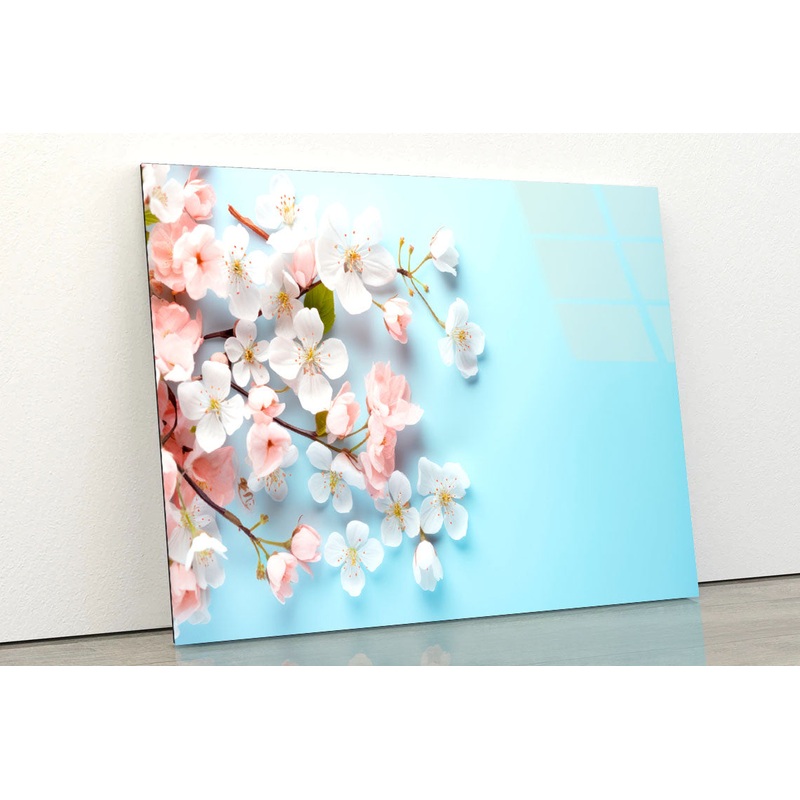 Pink White Cherry Blossoms Acrylic Glass Print Tempered Glass Wall Art 100% Made in Australia Ready to Hang