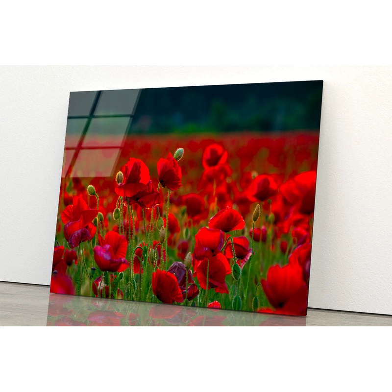 Poppy Flowers Close-up Acrylic Glass Print Tempered Glass Wall Art 100% Made in Australia Ready to Hang