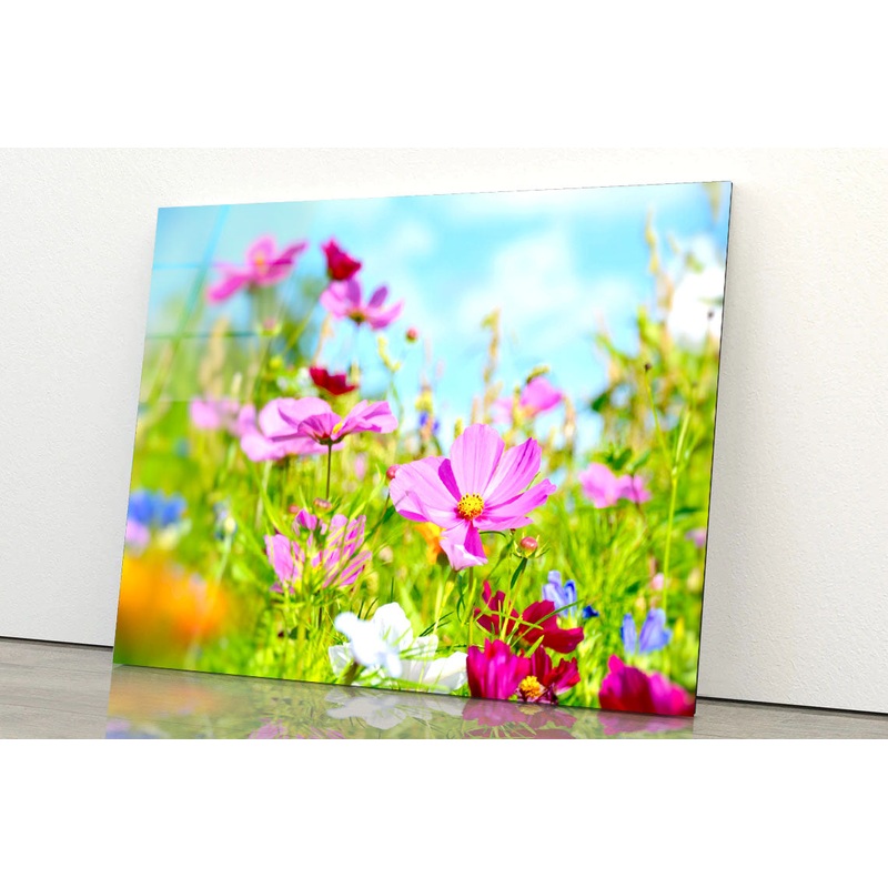 Purple Blumenwiese Sommerblumen Acrylic Glass Print Tempered Glass Wall Art 100% Made in Australia Ready to Hang