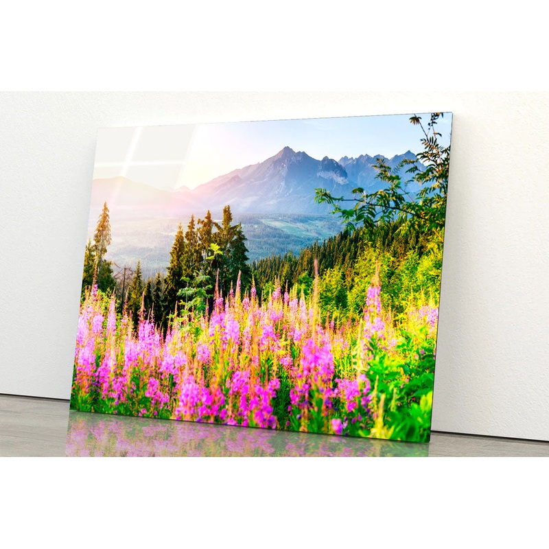 Purple Wild Flowers Acrylic Glass Print Tempered Glass Wall Art 100% Made in Australia Ready to Hang