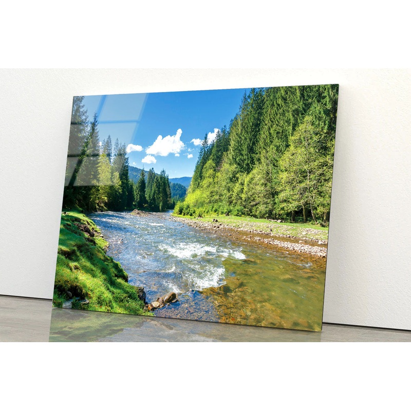 River among Spruce Forest Acrylic Glass Print Tempered Glass Wall Art 100% Made in Australia Ready to Hang