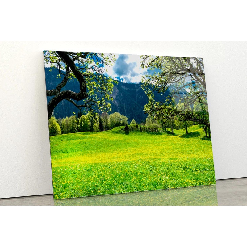 Sommerwiese with Mountains Acrylic Glass Print Tempered Glass Wall Art 100% Made in Australia Ready to Hang