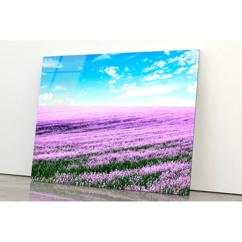 Spring Purple Flower Field Acrylic Glass Print Tempered Glass Wall Art 100% Made in Australia Ready to Hang