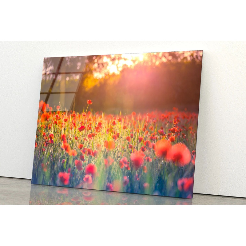 Stunning Red Poppies Acrylic Glass Print Tempered Glass Wall Art 100% Made in Australia Ready to Hang