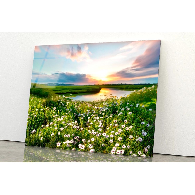 Summer Spring Natural With Lake & Wildflowers at Sunset Acrylic Glass Print Tempered Glass Wall Art 100% Made in Australia Ready to Hang