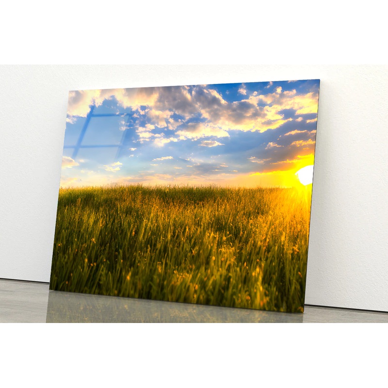 A Field Of Grass with the Sun Setting Acrylic Glass Print Tempered Glass Wall Art 100% Made in Australia Ready to Hang