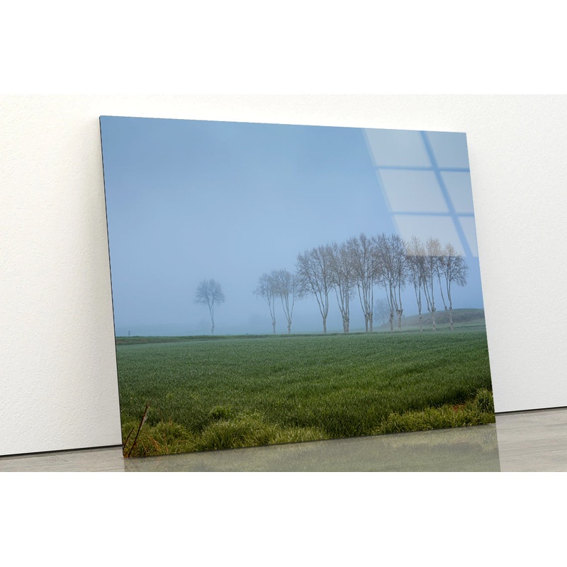 A Grassy Field with Trees, Clear Sky and Some Mist Acrylic Glass Print Tempered Glass Wall Art 100% Made in Australia Ready to Hang