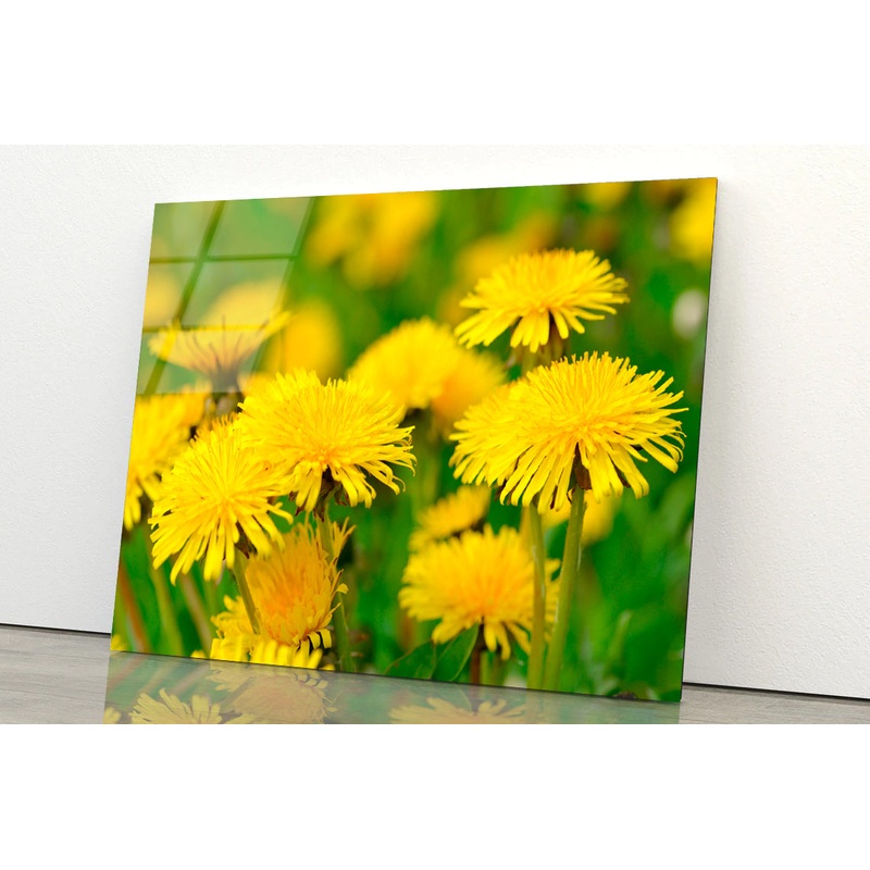 A Group of Yellow Flowers Close-Up View Acrylic Glass Print Tempered Glass Wall Art 100% Made in Australia Ready to Hang