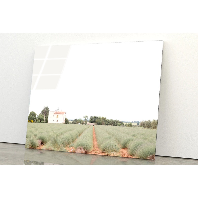 A House Located In a Field with Green Grass Acrylic Glass Print Tempered Glass Wall Art 100% Made in Australia Ready to Hang