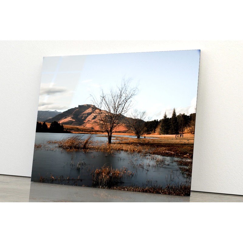 A Lake with a Tree with Mountains Acrylic Glass Print Tempered Glass Wall Art 100% Made in Australia Ready to Hang