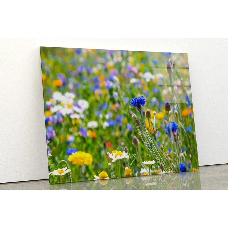 Beautiful Flowering Meadows View Acrylic Glass Print Tempered Glass Wall Art 100% Made in Australia Ready to Hang