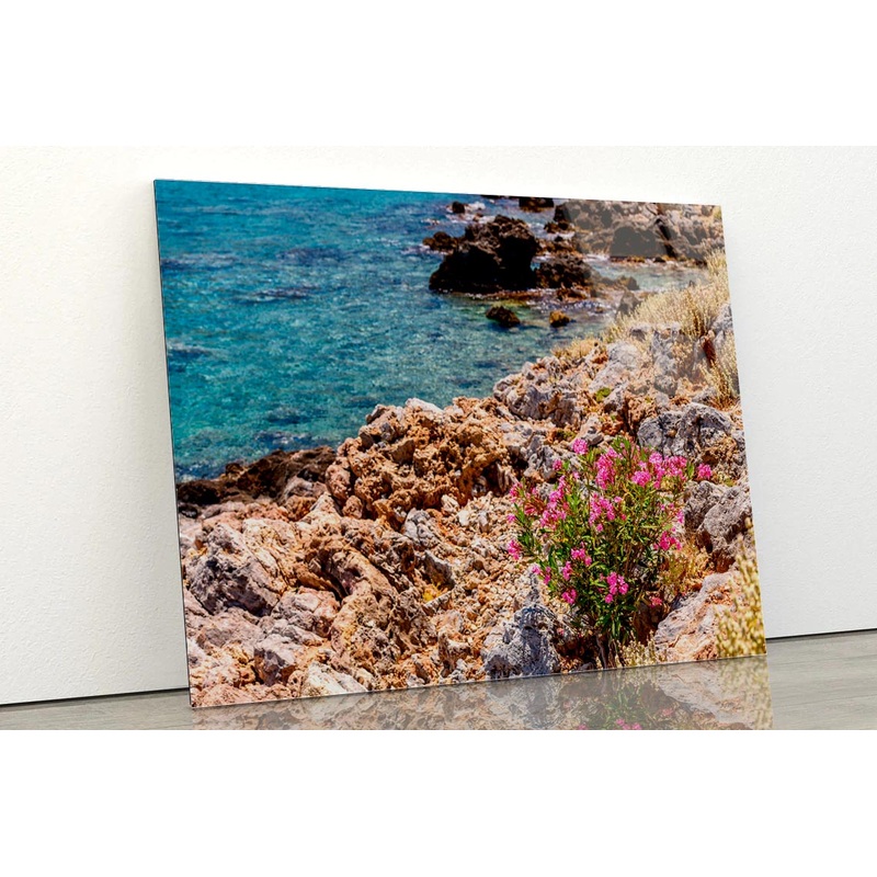 Beautiful Nature Flowers with River Acrylic Glass Print Tempered Glass Wall Art 100% Made in Australia Ready to Hang