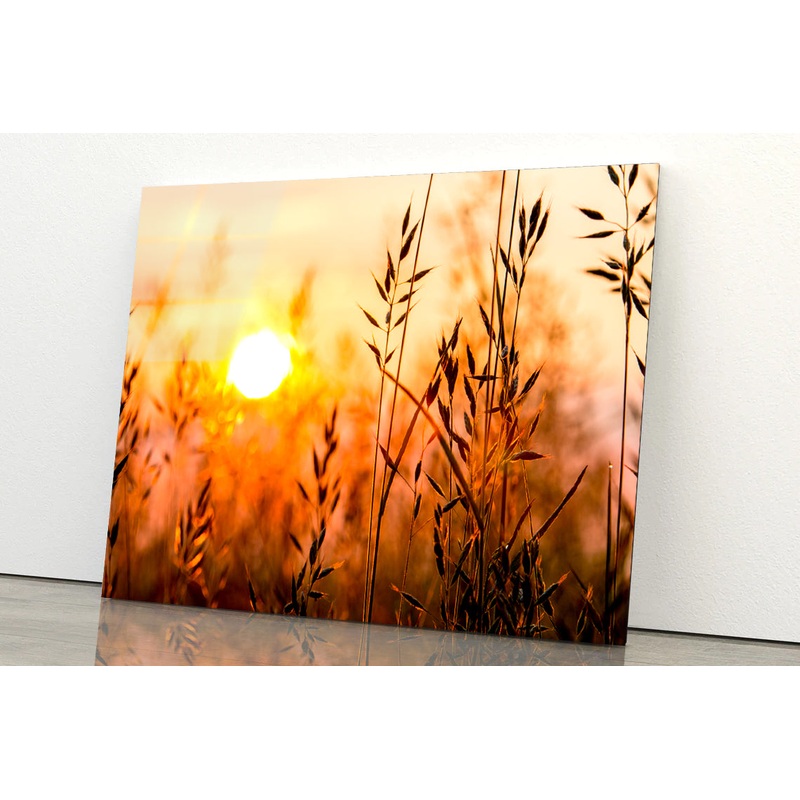 Close Up View of Red Sunrise Field Acrylic Glass Print Tempered Glass Wall Art 100% Made in Australia Ready to Hang