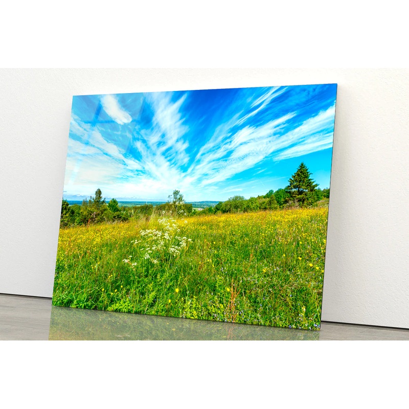 Flowering Meadow with Cirrus Cloud in the Sky Acrylic Glass Print Tempered Glass Wall Art 100% Made in Australia Ready to Hang