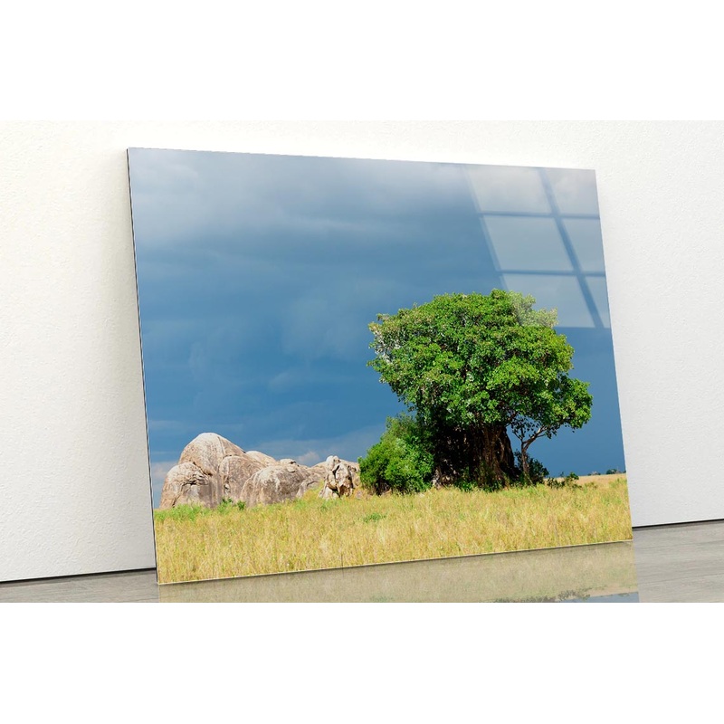 Serengeti National Park Scenery Tanzania Africa Acrylic Glass Print Tempered Glass Wall Art 100% Made in Australia Ready to Hang