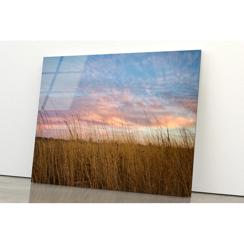 Sunset over Grasses with Beautiful Sky Acrylic Glass Print Tempered Glass Wall Art 100% Made in Australia Ready to Hang