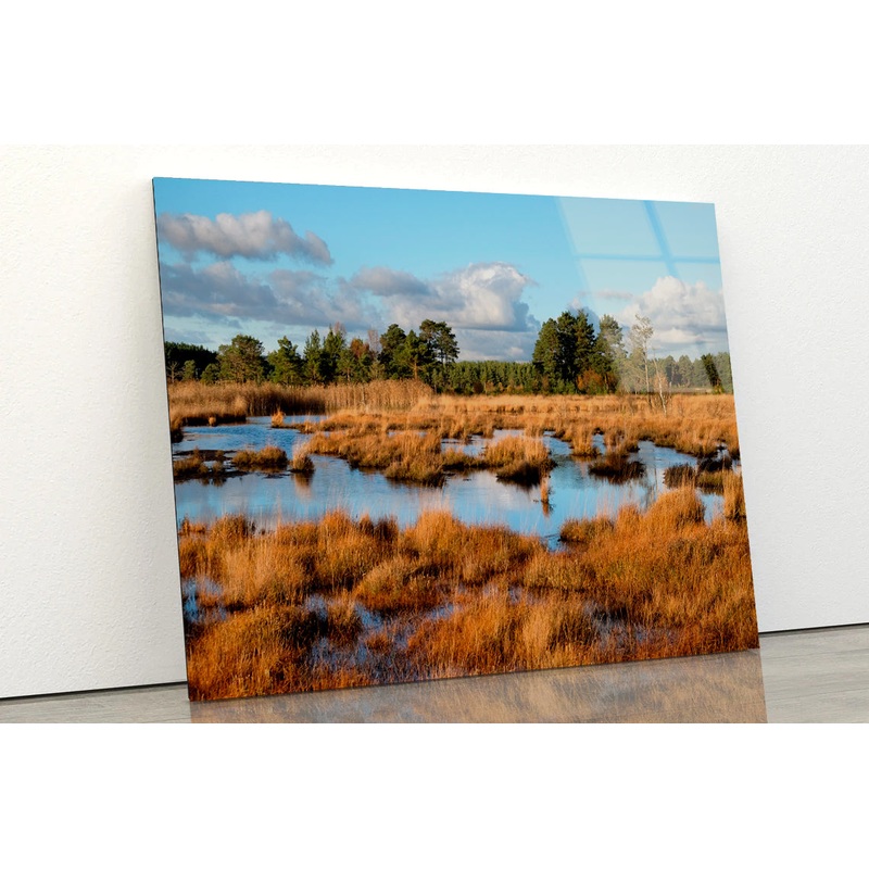 The Wetlands in the Evening Winter Sun Acrylic Glass Print Tempered Glass Wall Art 100% Made in Australia Ready to Hang