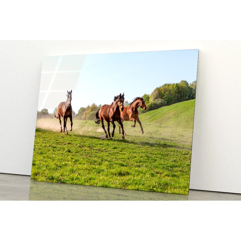 Three Horses at Full Gallop View Acrylic Glass Print Tempered Glass Wall Art 100% Made in Australia Ready to Hang