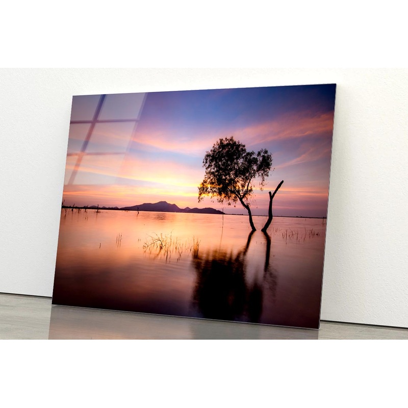 Tree and Lake in the Morning Acrylic Glass Print Tempered Glass Wall Art 100% Made in Australia Ready to Hang