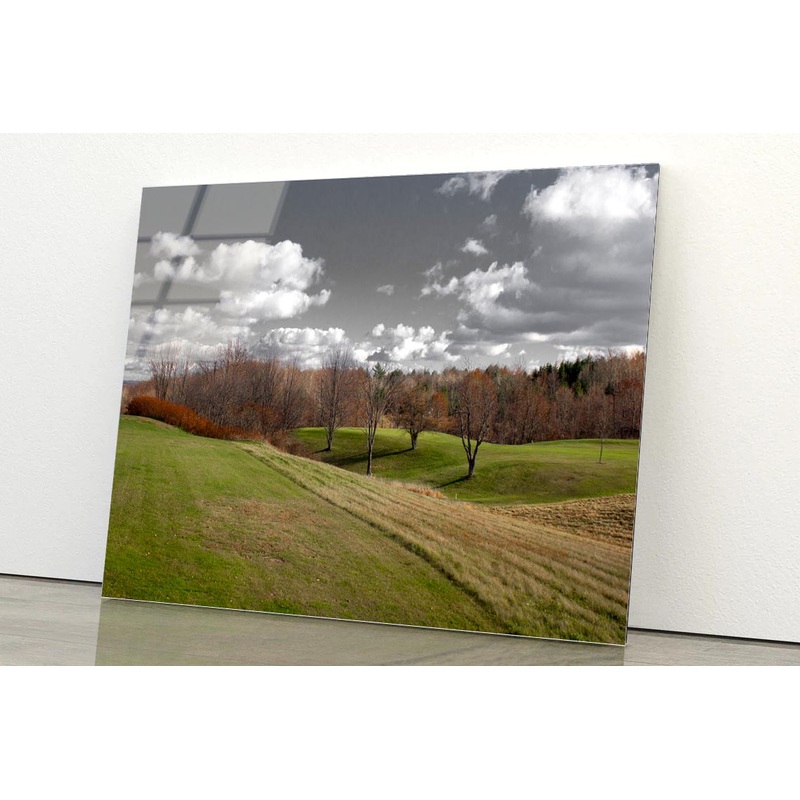 Tree Scenery with Black & White Sky Acrylic Glass Print Tempered Glass Wall Art 100% Made in Australia Ready to Hang