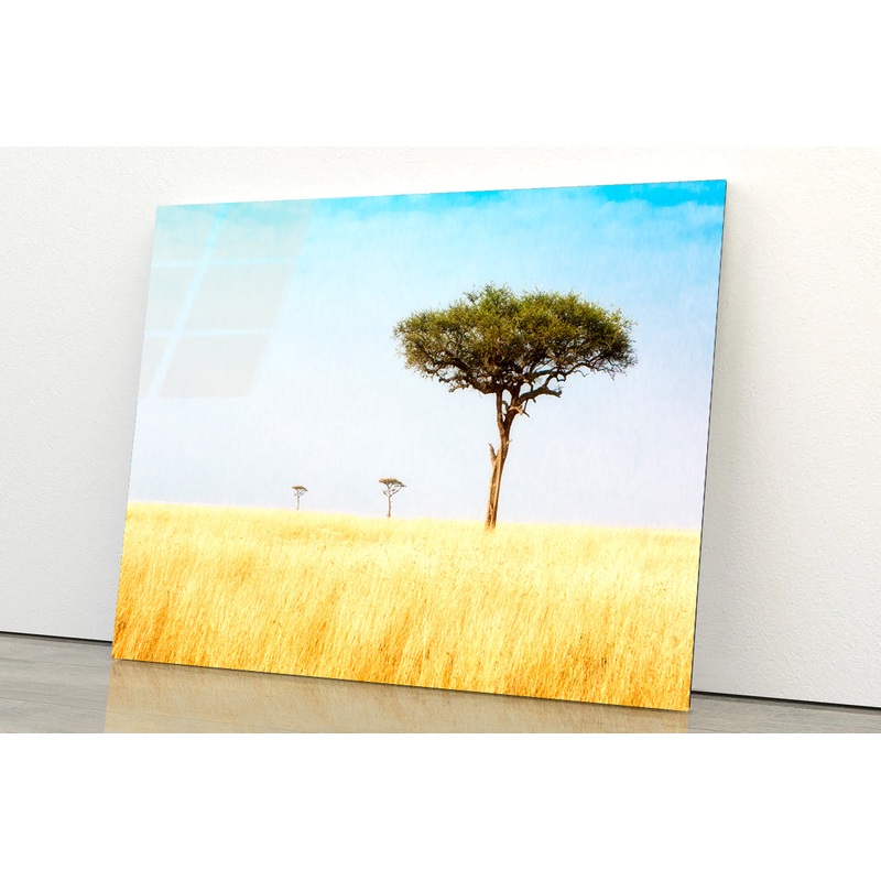Trees in Grasslands of Kenya Africa Acrylic Glass Print Tempered Glass Wall Art 100% Made in Australia Ready to Hang