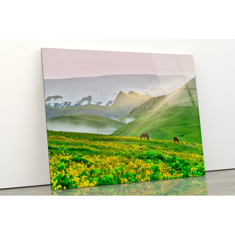 Two Horses Surrounded By Grasslands in Iceland Acrylic Glass Print Tempered Glass Wall Art 100% Made in Australia Ready to Hang