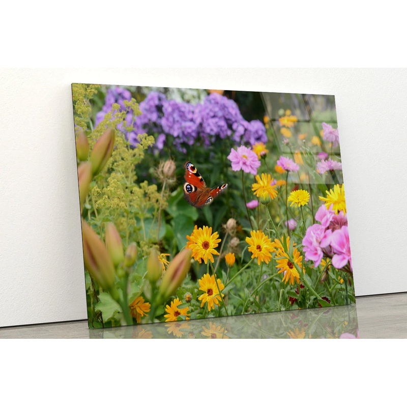 View of a Butterfly Perched On a Flower Acrylic Glass Print Tempered Glass Wall Art 100% Made in Australia Ready to Hang