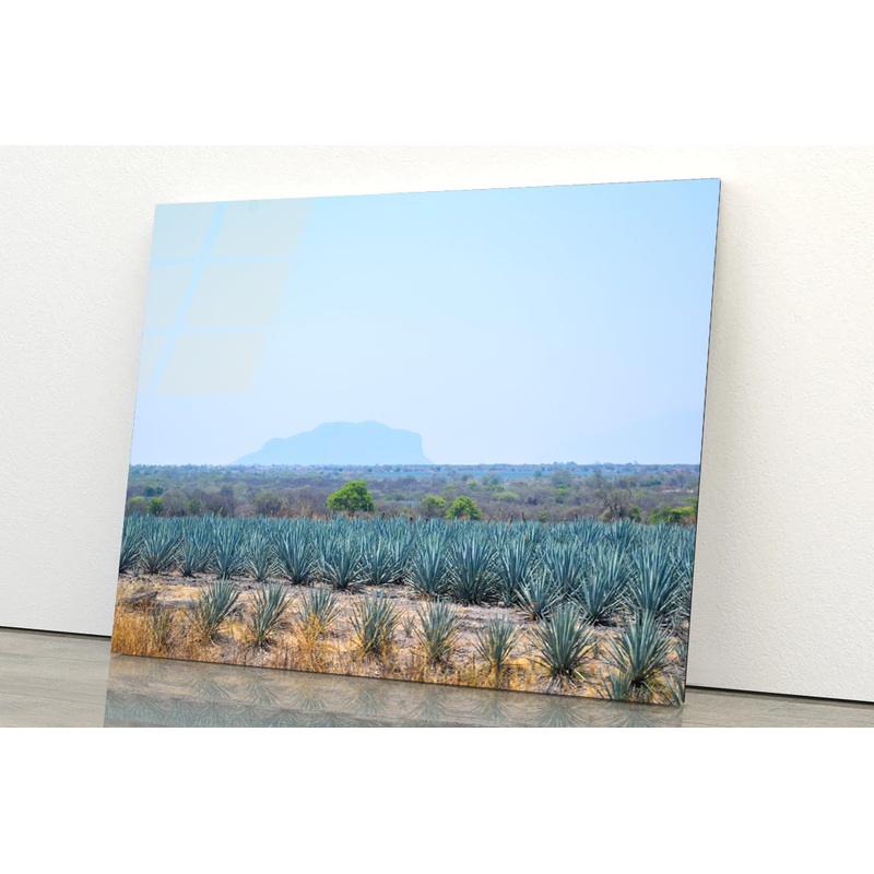 View of a Field Of Green Plants with a Mountain Acrylic Glass Print Tempered Glass Wall Art 100% Made in Australia Ready to Hang
