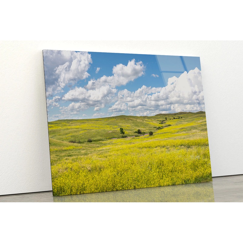 View of a Field Of Yellow Flowers under a Cloudy Sky Acrylic Glass Print Tempered Glass Wall Art 100% Made in Australia Ready to Hang