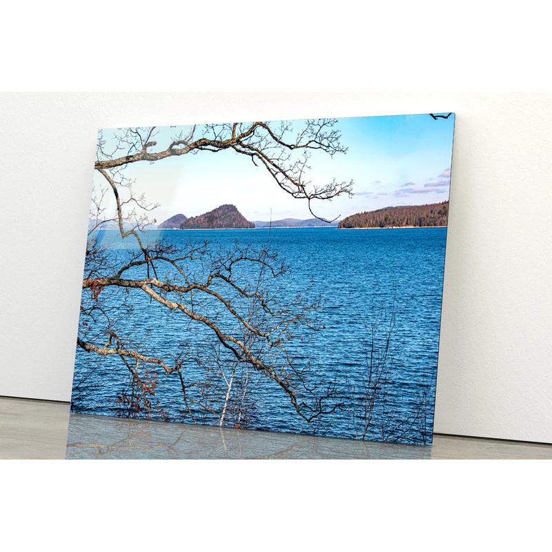 View of a Tree with a Lake & Mountains Acrylic Glass Print Tempered Glass Wall Art 100% Made in Australia Ready to Hang