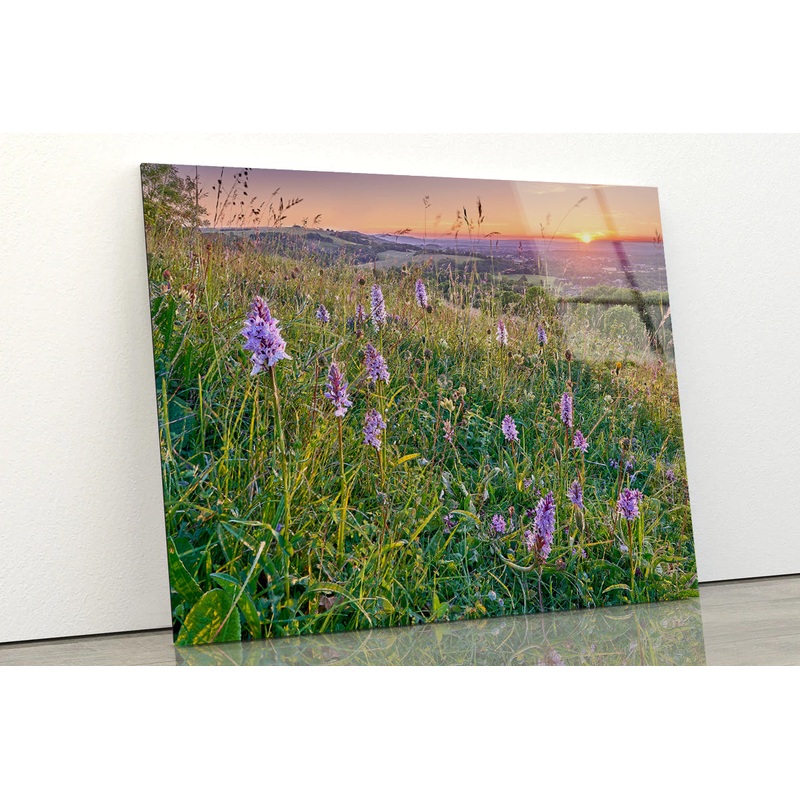 View of Grassland with Orchids, Mountains Acrylic Glass Print Tempered Glass Wall Art 100% Made in Australia Ready to Hang