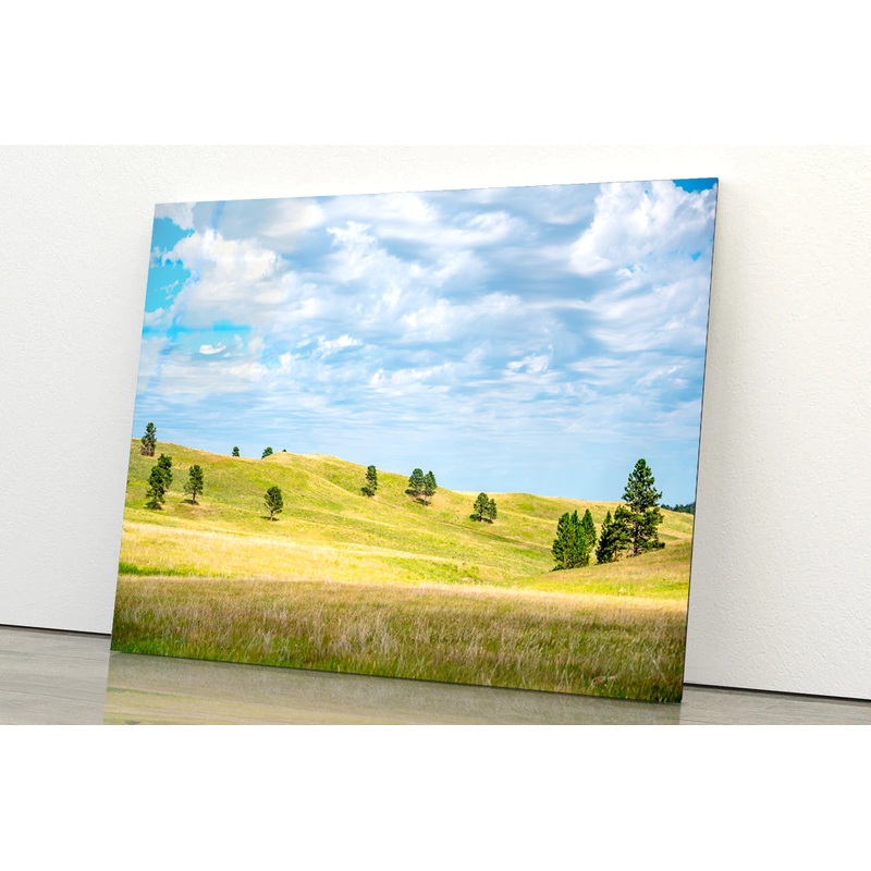 View of Open Grassland in South Dakota, USA Acrylic Glass Print Tempered Glass Wall Art 100% Made in Australia Ready to Hang