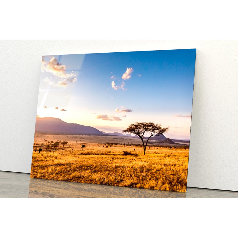 View of Sunset at Savannah Plains with Mountains Acrylic Glass Print Tempered Glass Wall Art 100% Made in Australia Ready to Hang