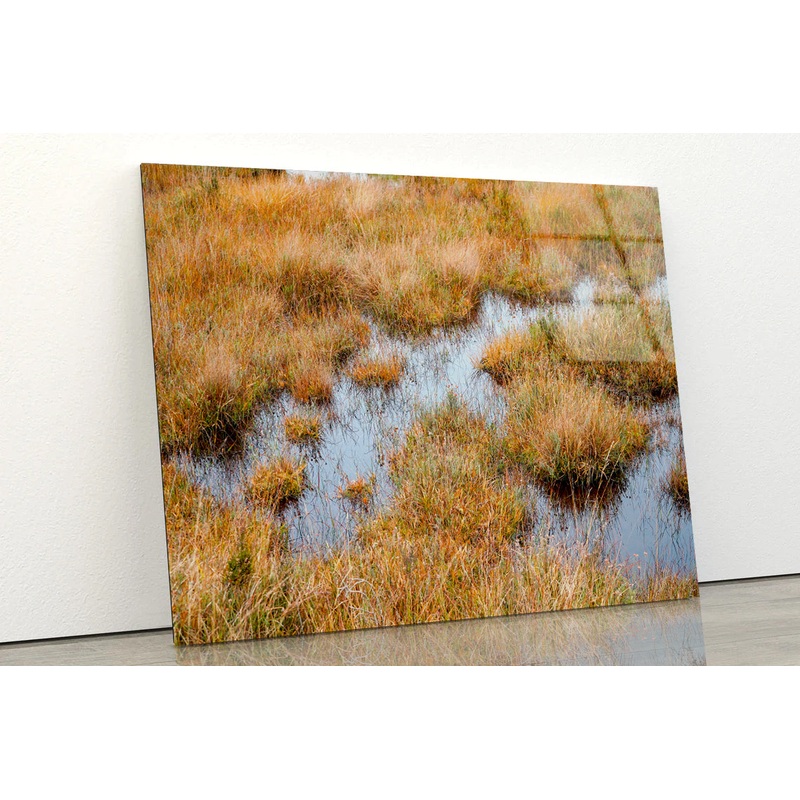 Waterlogged Grassland in the summer Acrylic Glass Print Tempered Glass Wall Art 100% Made in Australia Ready to Hang