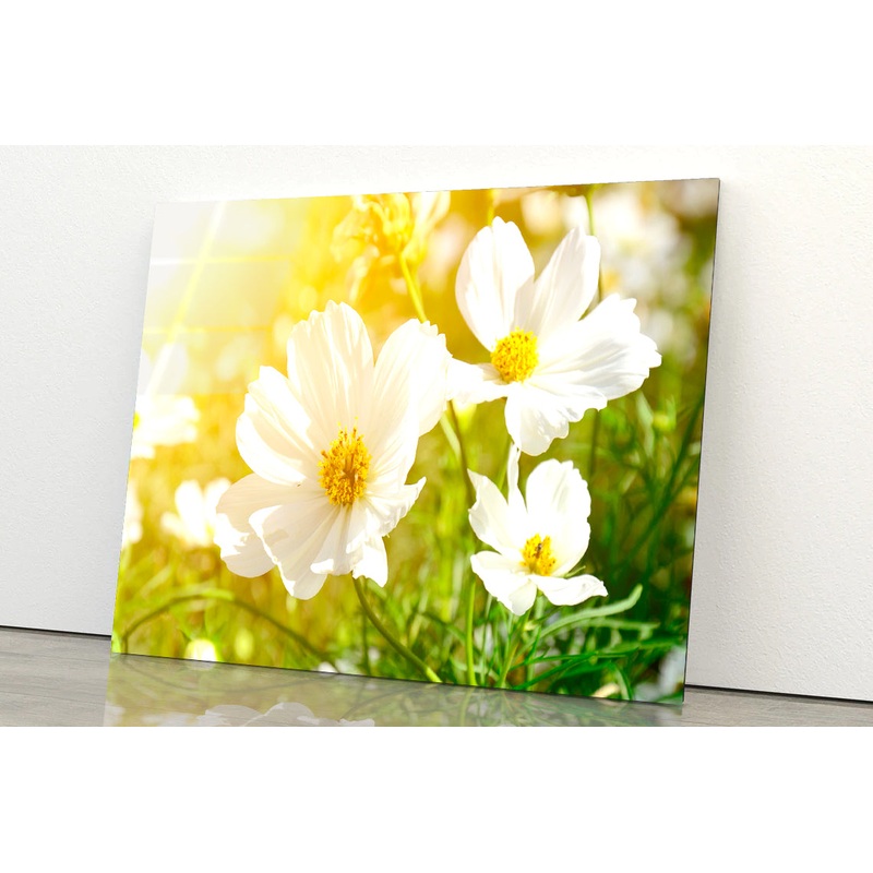 White Flowers Close-Up View In Garden Acrylic Glass Print Tempered Glass Wall Art 100% Made in Australia Ready to Hang