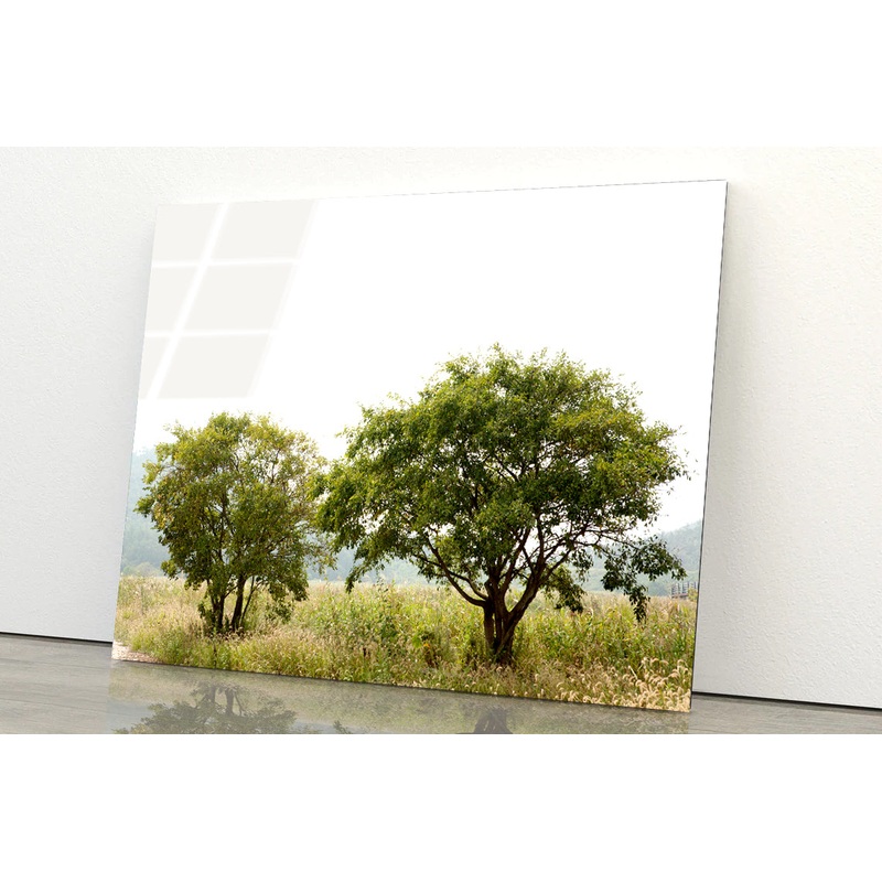 A Couple of Trees in the Grasslands under Sky Acrylic Glass Print Tempered Glass Wall Art 100% Made in Australia Ready to Hang