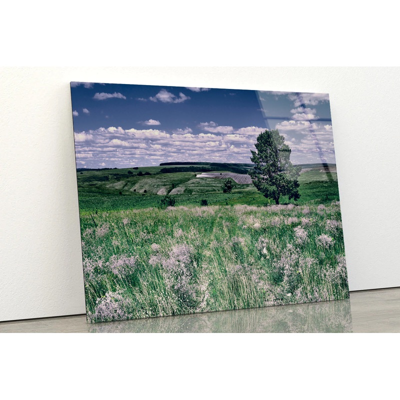 A Field Of Flowers with a Tree under a Sky Acrylic Glass Print Tempered Glass Wall Art 100% Made in Australia Ready to Hang