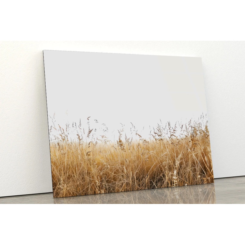 A Field Of Tall Grass under a Sky in winter Acrylic Glass Print Tempered Glass Wall Art 100% Made in Australia Ready to Hang