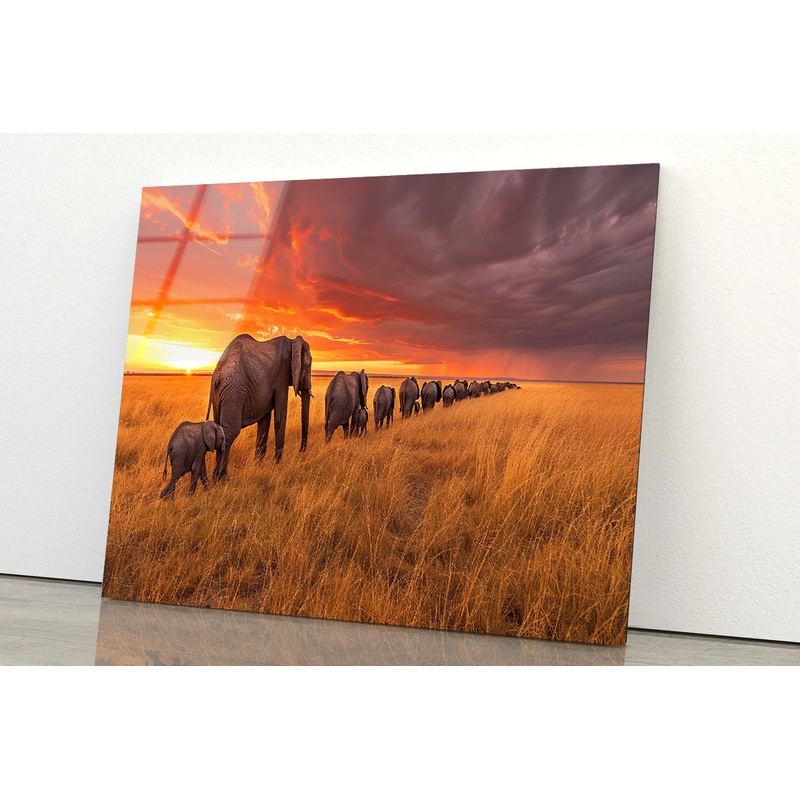 A Herd of Elephants Moving Across an Open Field Acrylic Glass Print Tempered Glass Wall Art 100% Made in Australia Ready to Hang