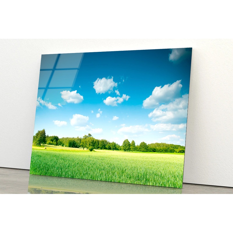 A Large Green Field with Trees under a Blue Sky Acrylic Glass Print Tempered Glass Wall Art 100% Made in Australia Ready to Hang