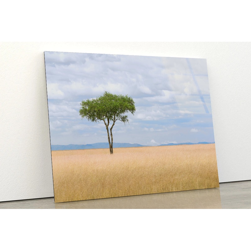A Single Tree in an Open Field with a Blue Sky Acrylic Glass Print Tempered Glass Wall Art 100% Made in Australia Ready to Hang