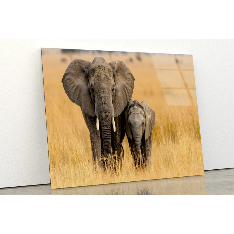 An Elephant and Its Calf Standing In a Grassland Acrylic Glass Print Tempered Glass Wall Art 100% Made in Australia Ready to Hang