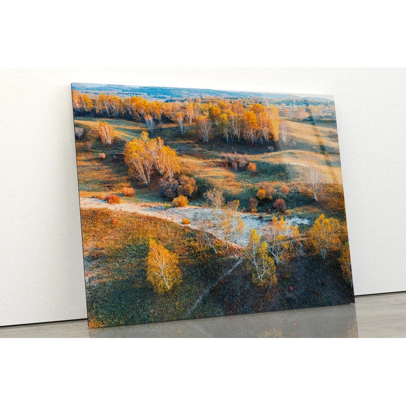 Beautiful Yellow Grassland Nature in autumn Acrylic Glass Print Tempered Glass Wall Art 100% Made in Australia Ready to Hang