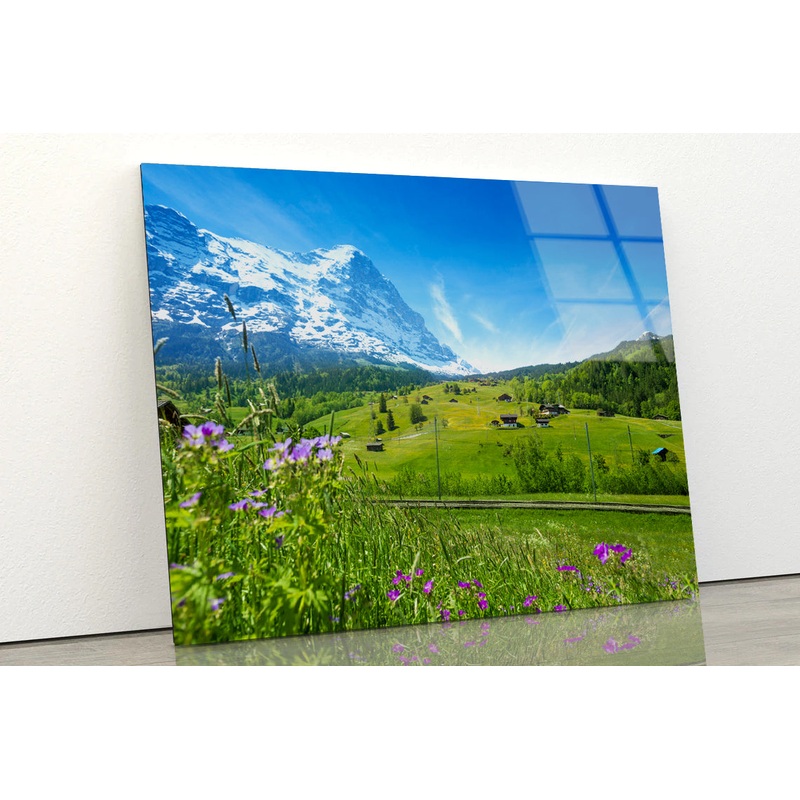 Blooming Flowers with Beautiful Sky & Mountains Acrylic Glass Print Tempered Glass Wall Art 100% Made in Australia Ready to Hang
